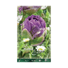 Bolbos de tulipa Elite Double Blue Purple 5 unidades