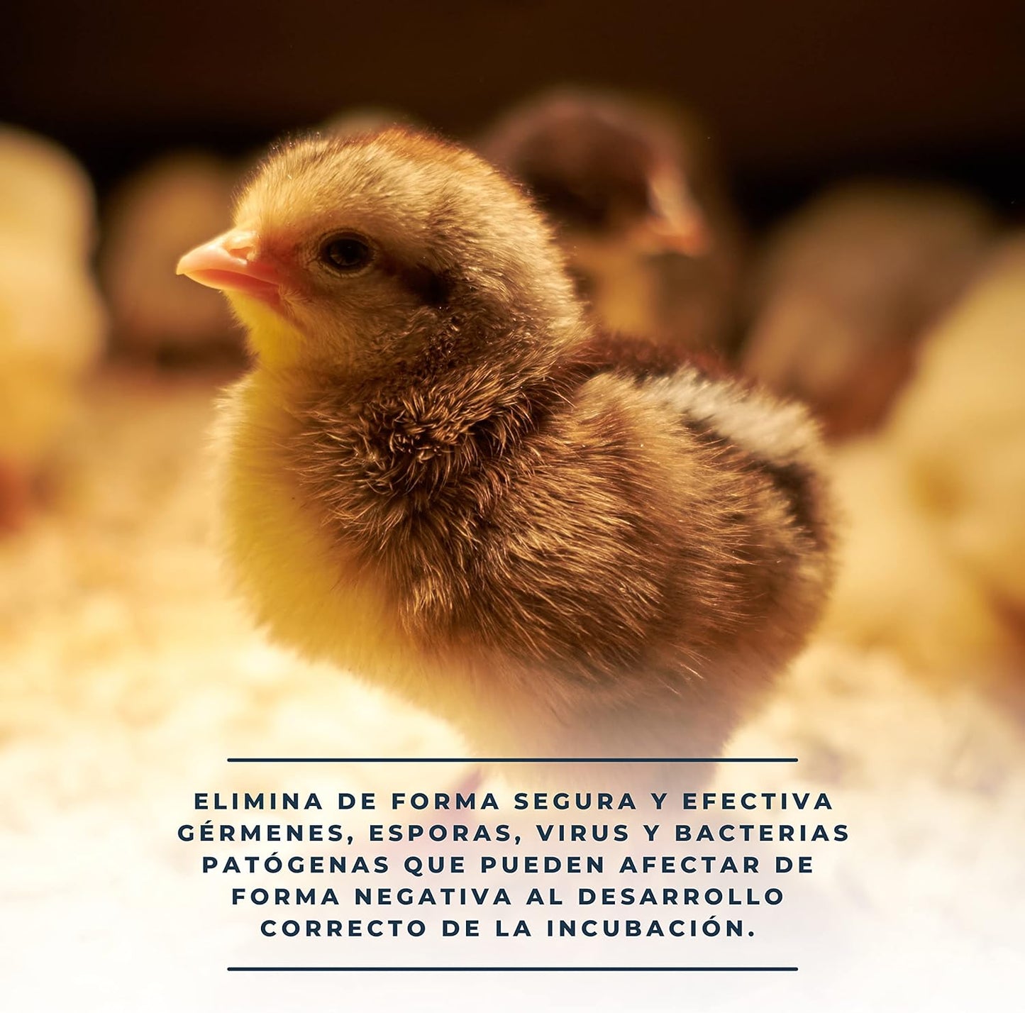 Ovaclean - Desinfectante Para Limpiar Huevos Y Material De Incubación_4