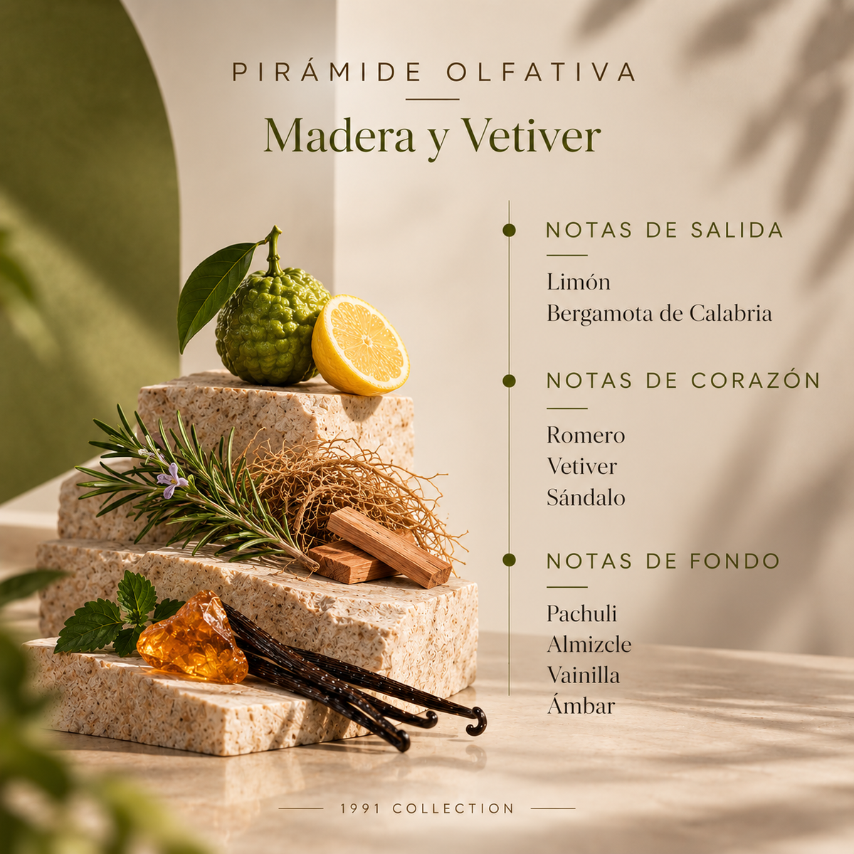 Recambio Mikado Madera y Vetiver SYS Aromas 200 ml | Con Palos | Colección 1991 | Aroma Amaderado y Cítrico_1