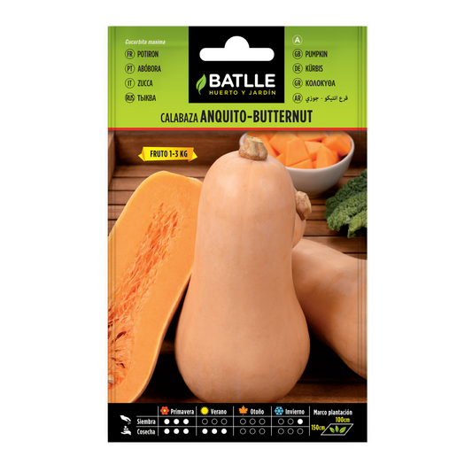 Sementes de abóbora Anquito-Butternut Batlle
