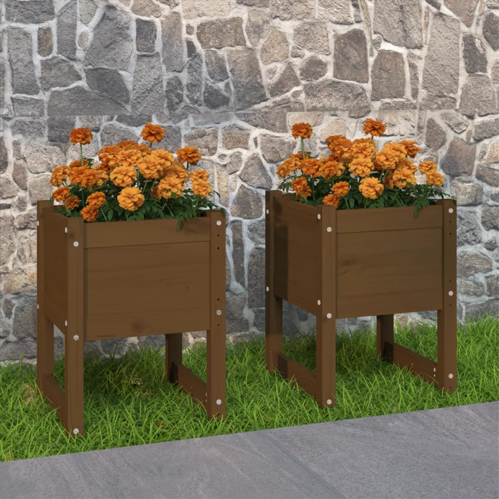 Jardinera 2 Uds Madera Maciza De Pino Marrón Miel 40x40x52,5 Cm_1
