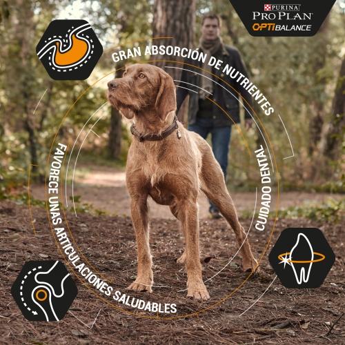 PRO PLAN Médio OPTIBALANCE Frango
