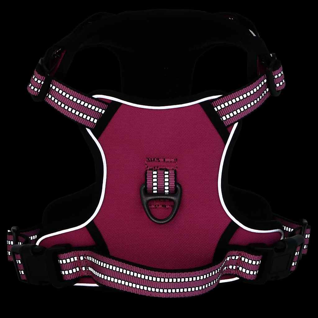 Arnés Para Perros Con Correa Y Collar Ajustable Rosa L_4