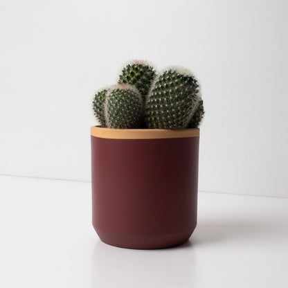 Macetero De Terracota Rojo Ciruela 13 Cm | Hecho A Mano Por Artesanos | Maceta Decorativa Para Plantas Interior_1