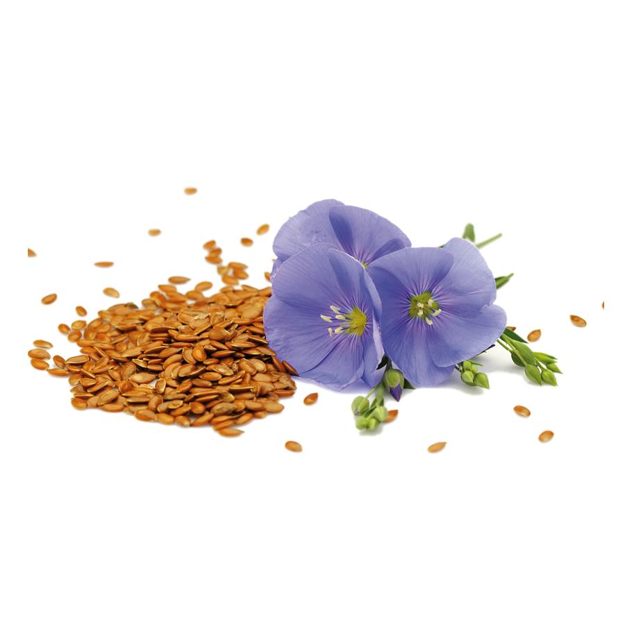 Sementes de Linho Biológicas El Granero 200 g