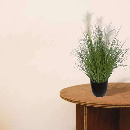 Ramo De Hierba En Maceta De Plástico