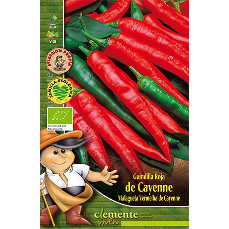 Sementes orgânicas de pimenta vermelha longa Cayenne