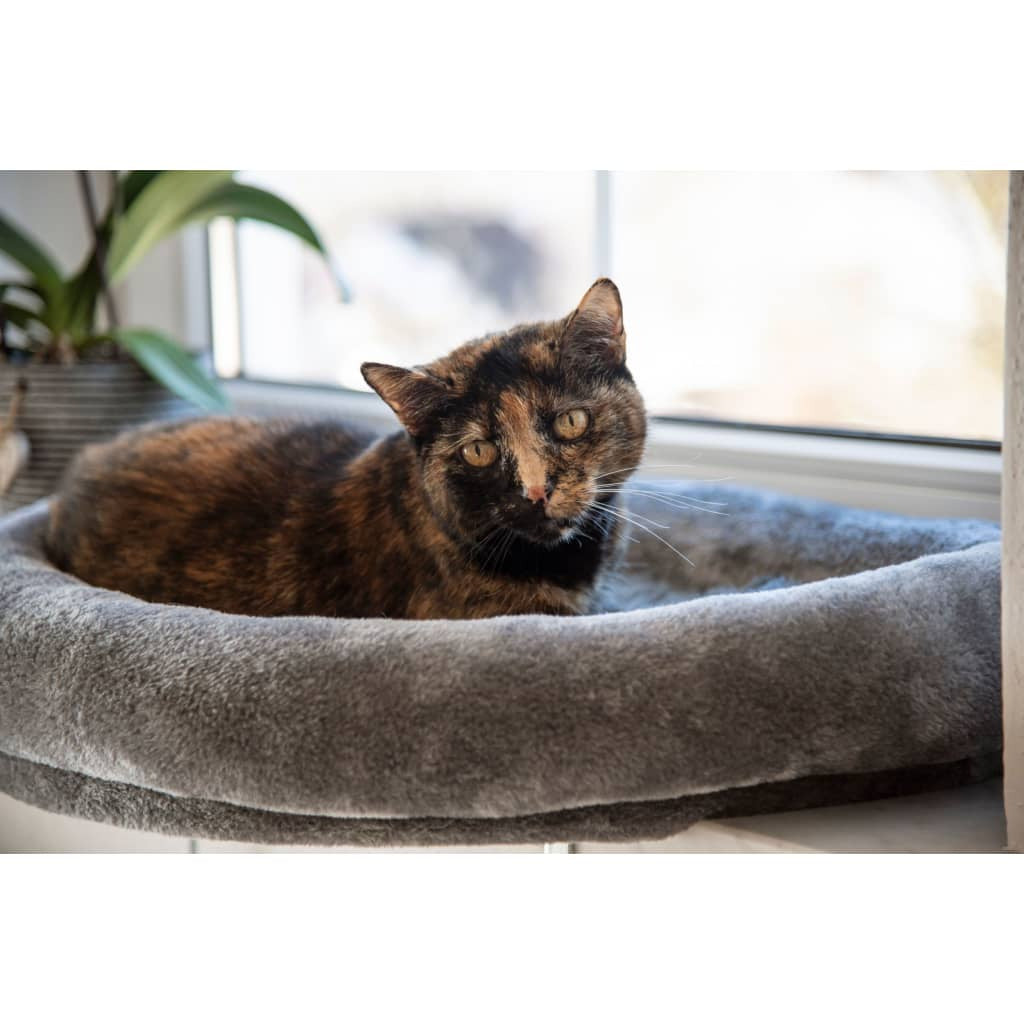 Kerbl Cama De Gatos Para Ventana Gris 55x35x10 Cm_3