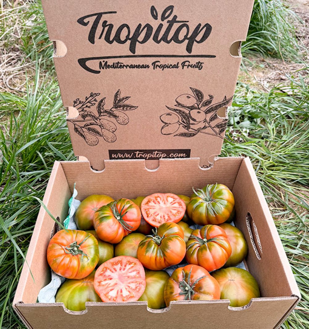 Caja De Tomates Raf De Temporada Tropitop Caja De 4kg_1