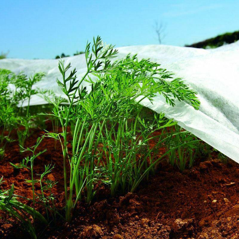 Tecido de proteção contra o congelamento Biotop 2 x 10 m