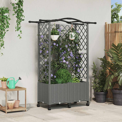 Cama Elevada Con Trellis Y Techo Gris Claro 122 X 40 X 144 Cm_1