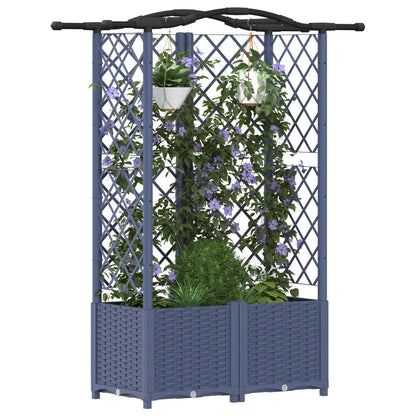 Cama Elevada Con Trellis Y Techo Gris 122 X 40 X 138 Cm Pp_2