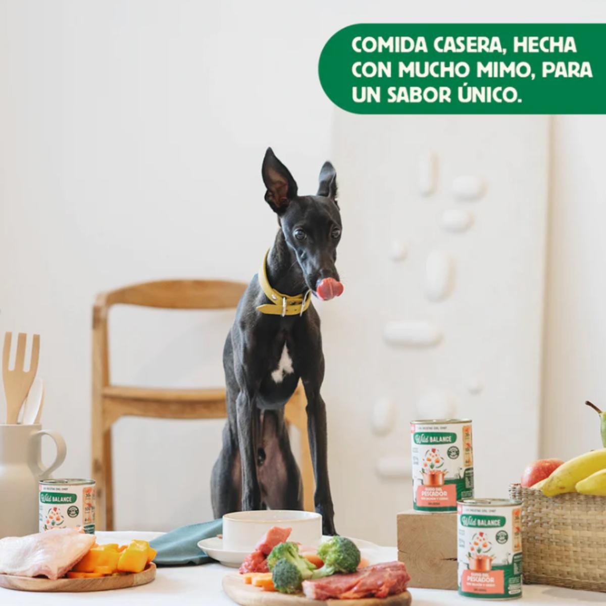Pack de 6 Ensopados de Salmão e Porco Wild Balance para Cães 400g