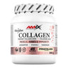 Collagen Viscofan Drink 300 Gr Piña Colada