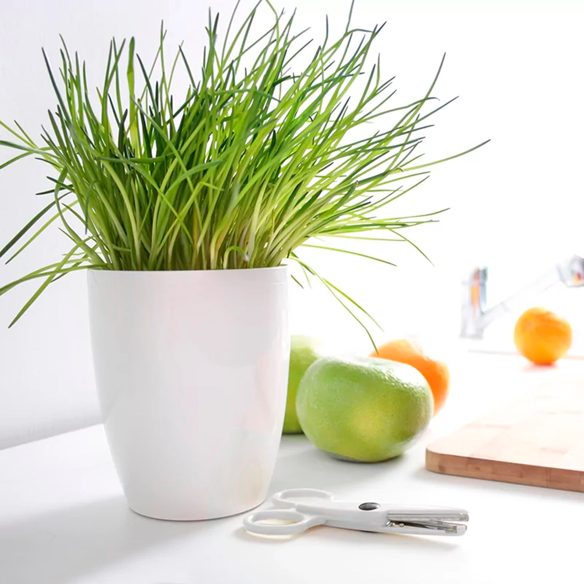 Maceta Coubi Orchid 2,4l., Dimensiones (mm) 160x160x183, Color Blanco