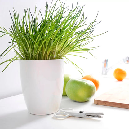 Maceta Coubi Orchid 2,4l., Dimensiones (mm) 160x160x183, Color Blanco