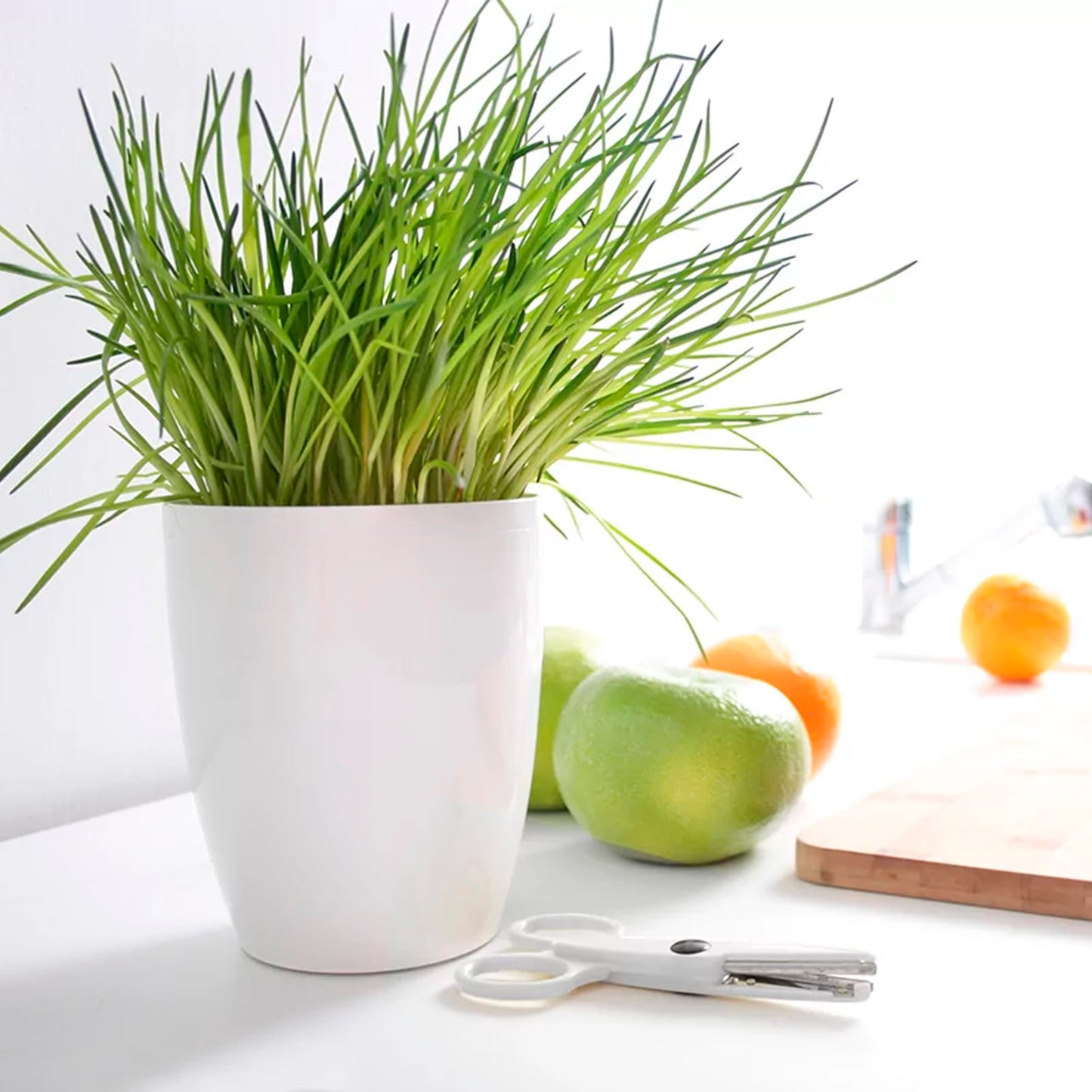 Maceta Coubi Orchid 1,5l., Dimensiones (mm) 132x132x160, Color Blanco