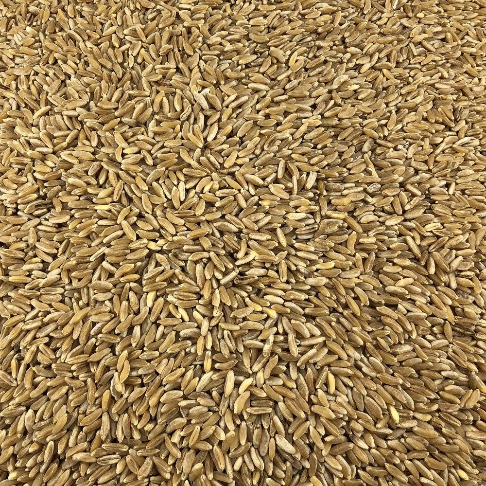 Trigo Antiguo Ecológico A Granel 0,25 Kg_2