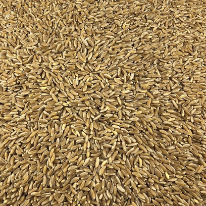 Trigo Antiguo Ecológico A Granel 0,25 Kg_2