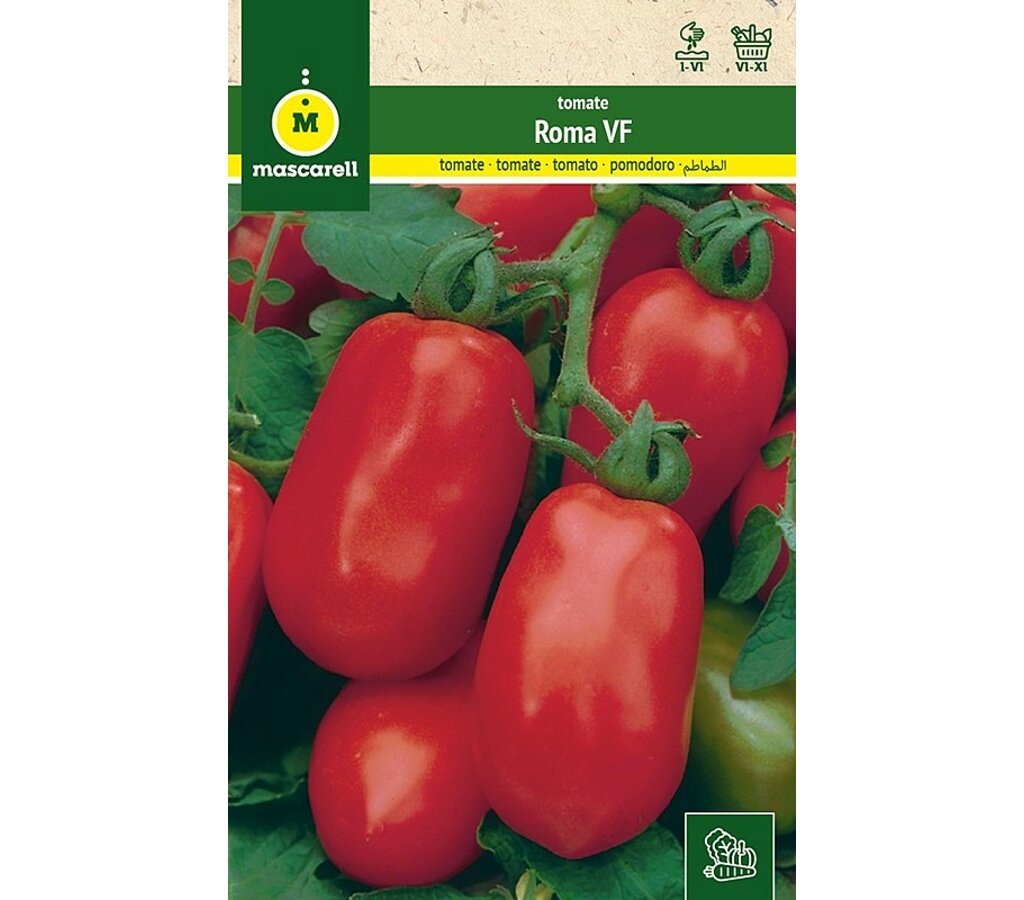 Semillas Tomate Roma Vf Pera_0