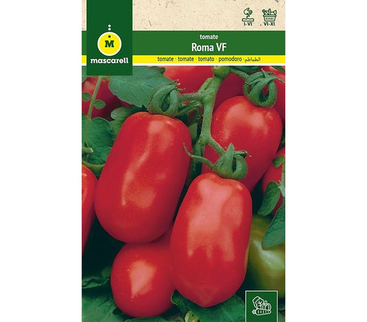 Semillas Tomate Roma Vf Pera_0