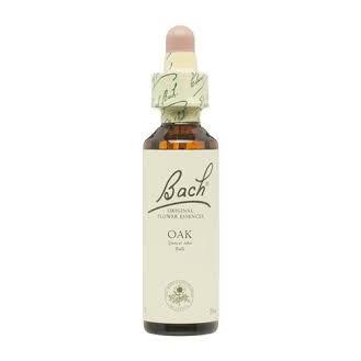 Bach 22 Carvalho 20 ml (Flores de Bach Carvalho) Bach