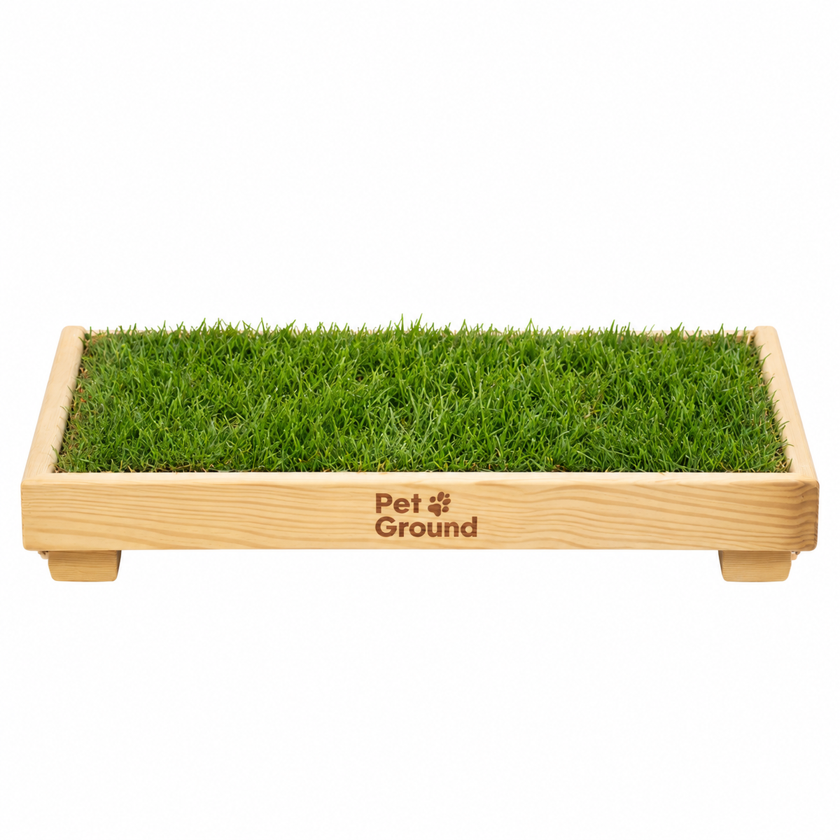 Petground, Cama Con Césped natural Para Gatos, Caja De Madera, Accesorio, Mueble S: 62 X 42 Cm_1