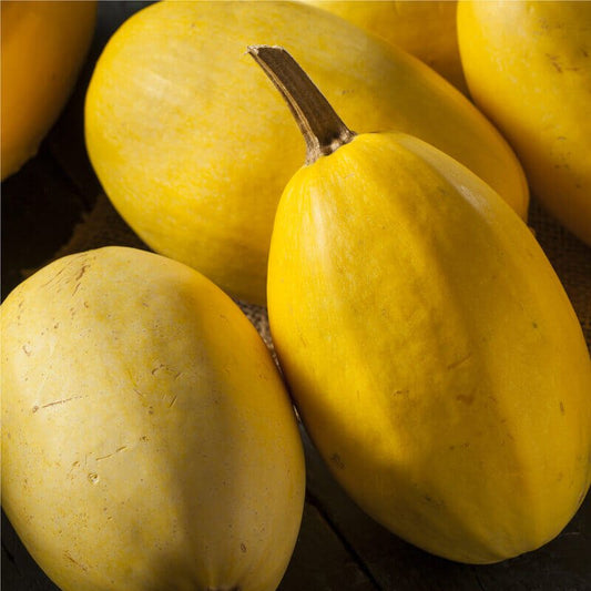 Semillas De Calabaza Spaghetti Ecológicas