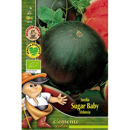 Sementes de melancia biológicas Sugar Baby