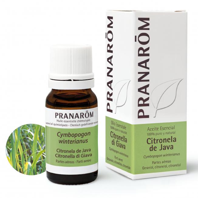 Óleo essencial de citronela de Java Pranarom 10 ml