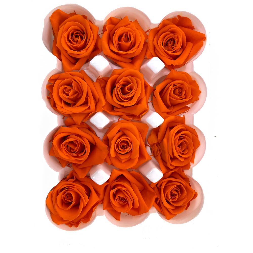 Mundo Eterno Rosas Preservadas Naranjas 12 Unidades 4cm_0