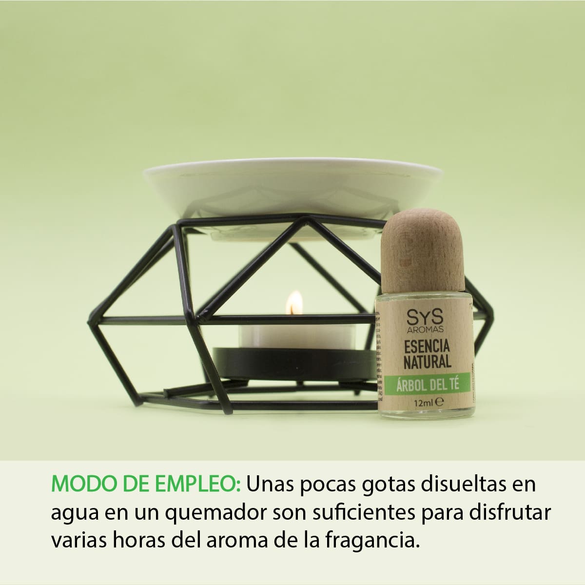 Esencia Natural Aromática Árbol de Té 12 ml | Aroma Herbal y Purificante | Perfume Concentrado | Uso en Difusores_3