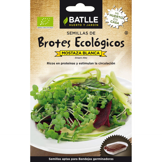 Sementes de mostarda branca biológica Batlle para rebentos