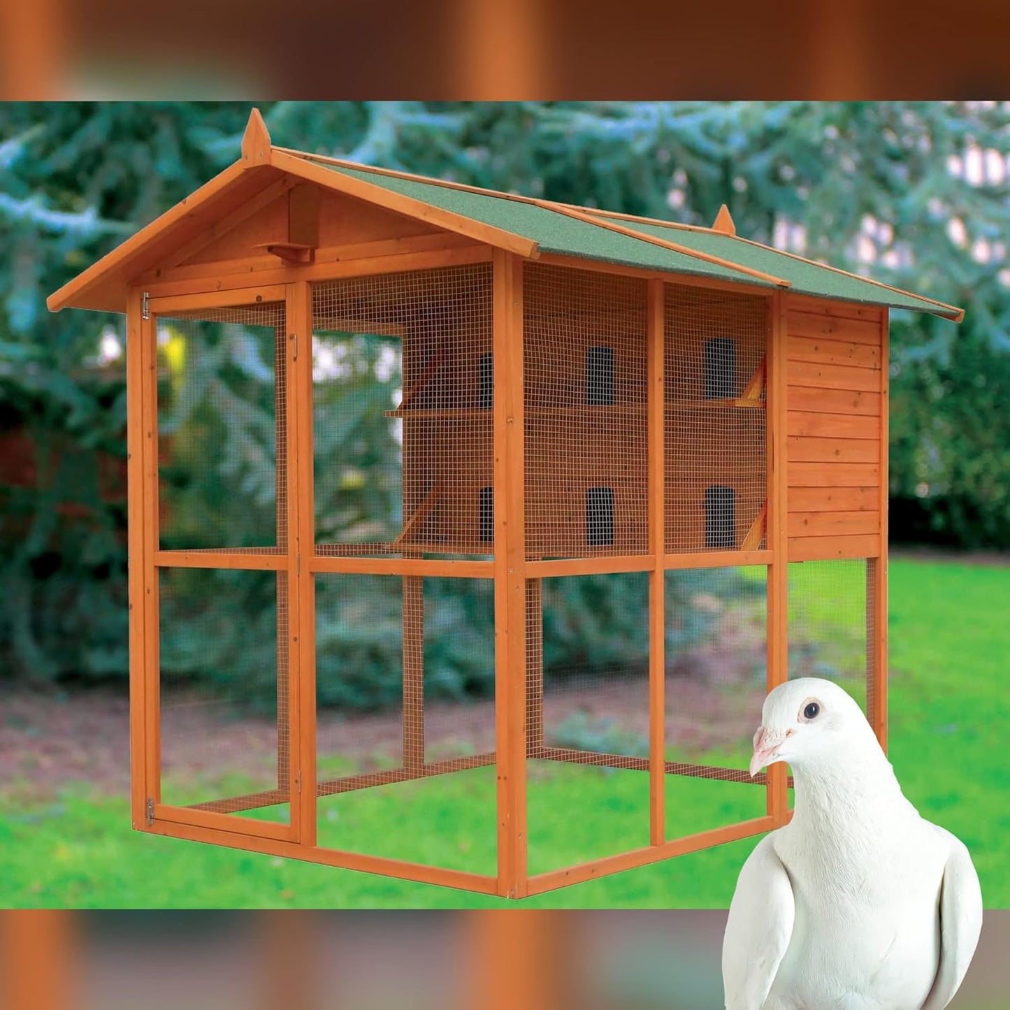 Voladero Para Palomas Bizet_1