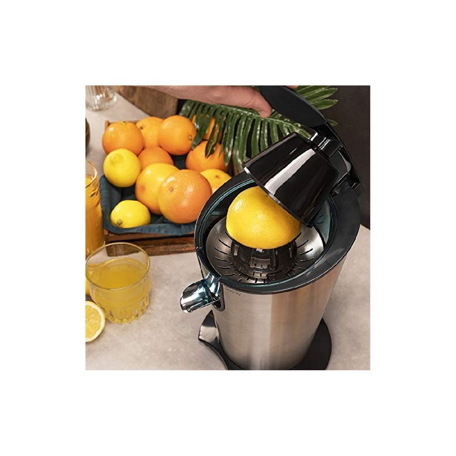 Exprimidor Eléctrico De Brazo Essentialvita Powerfresh 600 Inox. 600 W, Cuerpo Y Filtro De Acero Inoxidable, 2 Conos Desmontables, Boquilla Antigote_1