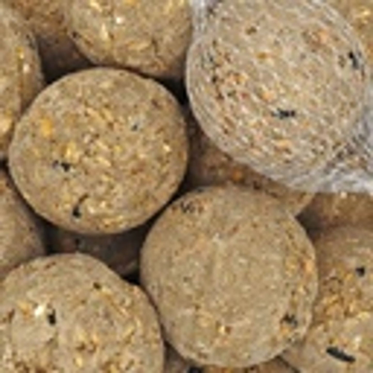 Comida Para Pajaros, Set Alimento Alta Energía, Semillas Y Sebo_2