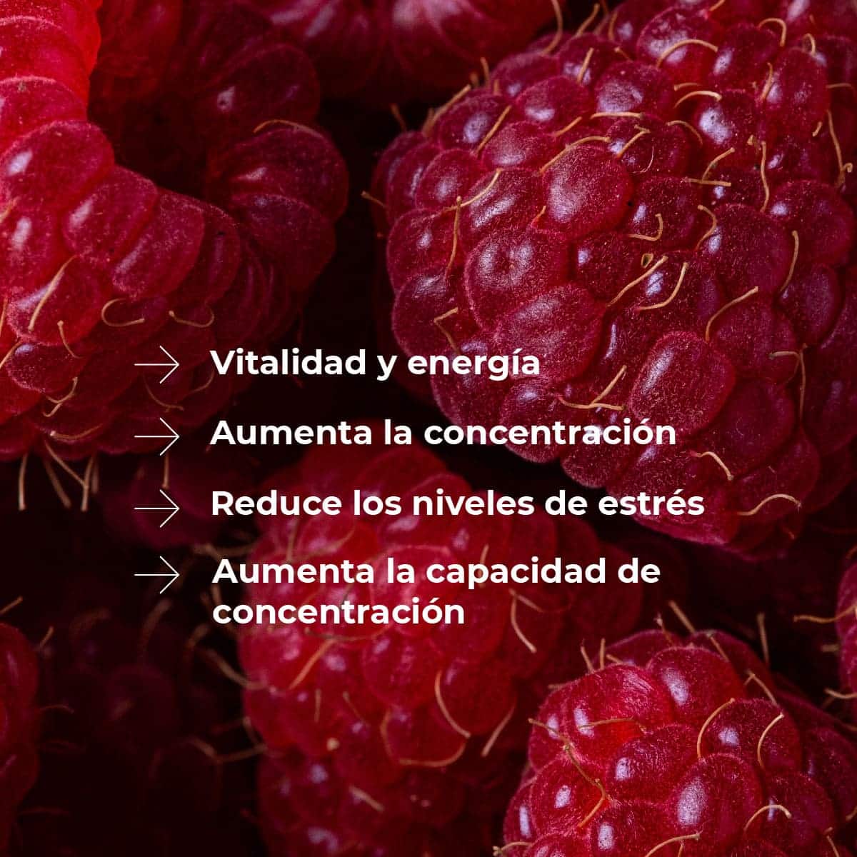 Recambio Mikado Frutos Rojos 200 ml con Varillas | Aroma Dulce y Frutado | Refill Difusor | Larga Duración_1