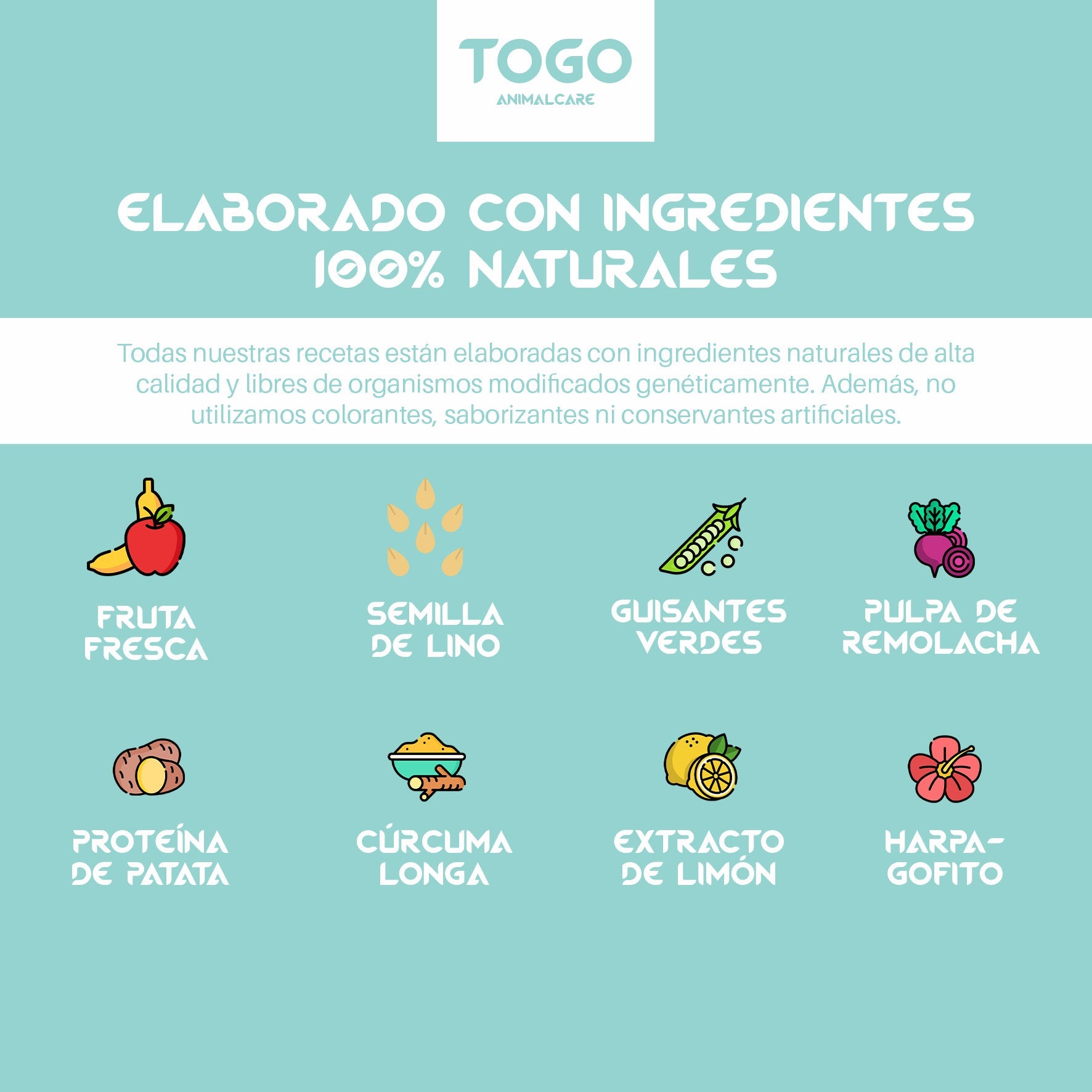 Pienso Veggie | Alimentación Seca Natural Sin Cereales 12kg_3