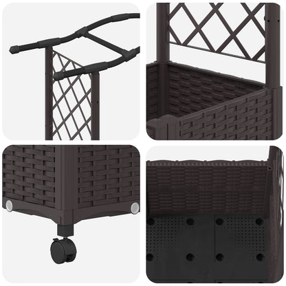 Cama Elevada Con Trellis Y Techo Marrón 164 X 40 X 144 Cm Pp_5