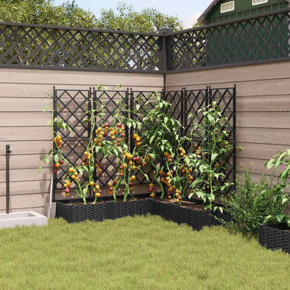 Macetero De Jardín 5 Uds. Negro 120 X 120 X 125,5 Cm Pp_2