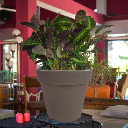 Macetero De Polietileno Por Rotomoldeo Color Topo 35x30 Cm