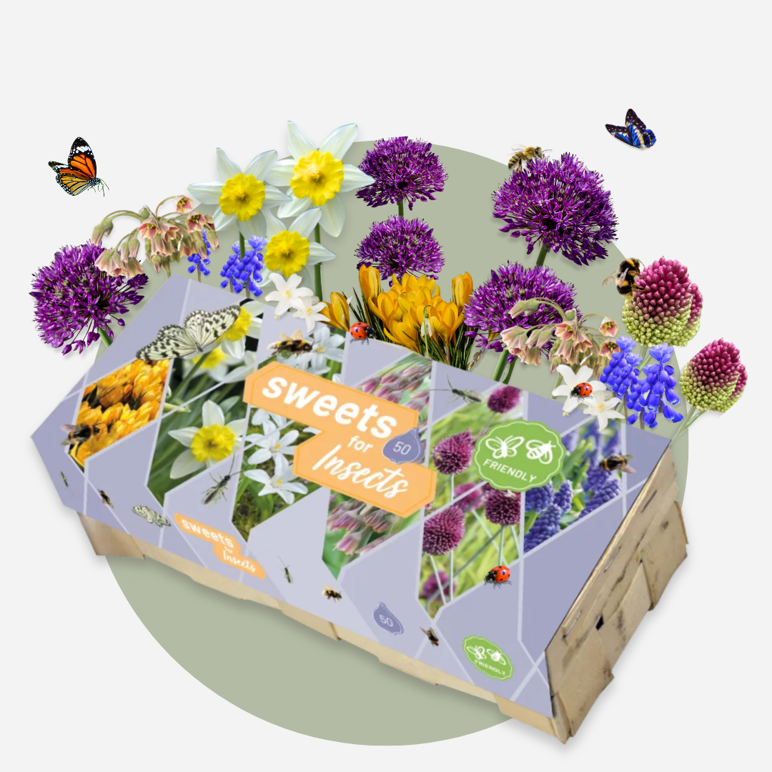 Bulbos Para Insectos - Mezcla De 50 - Resistentes Y Perennes_4