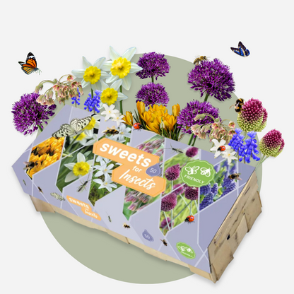 Bulbos Para Insectos - Mezcla De 50 - Resistentes Y Perennes_4