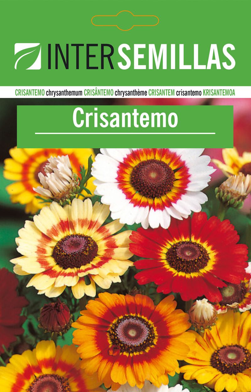 Sobre De Semillas De Crisantemo_0