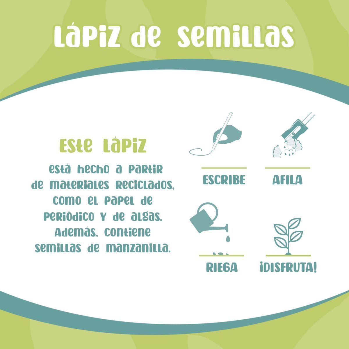 Lápis de Semente Plantável