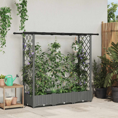 Cama Elevada Con Trellis Y Techo Gris Claro 164 X 40 X 121 Cm_1