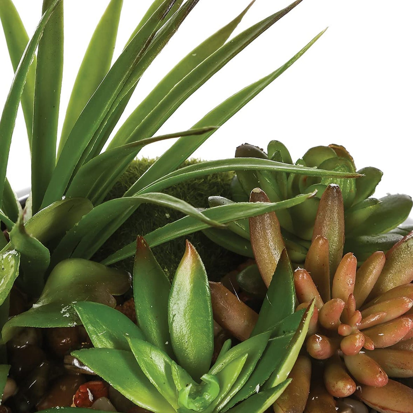 Surtido De Plantas Con Florero De Cerámica L.20 X P.20 X A 6_2