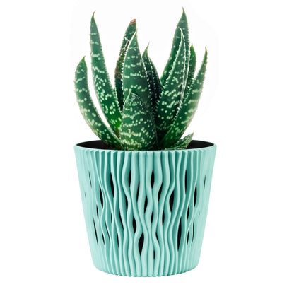 Maceta Redonda De Plastico Sandy Round En Color Salvia 15,8 (largo) X 15,8 (ancho) X 13,8 (alto) Cm