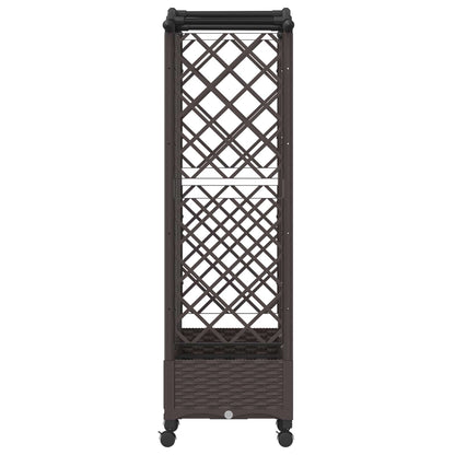 Cama Elevada Con Trellis Y Techo Marrón 163 X 40 X 129 Cm Pp_3