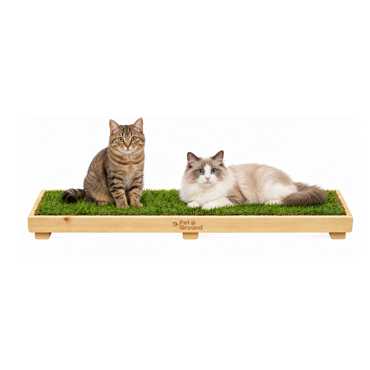 Petground, Cama de Césped Natural Para Gatos, Caja De Madera, Accesorio, Mueble Xl: 122 X 42 Cm_0